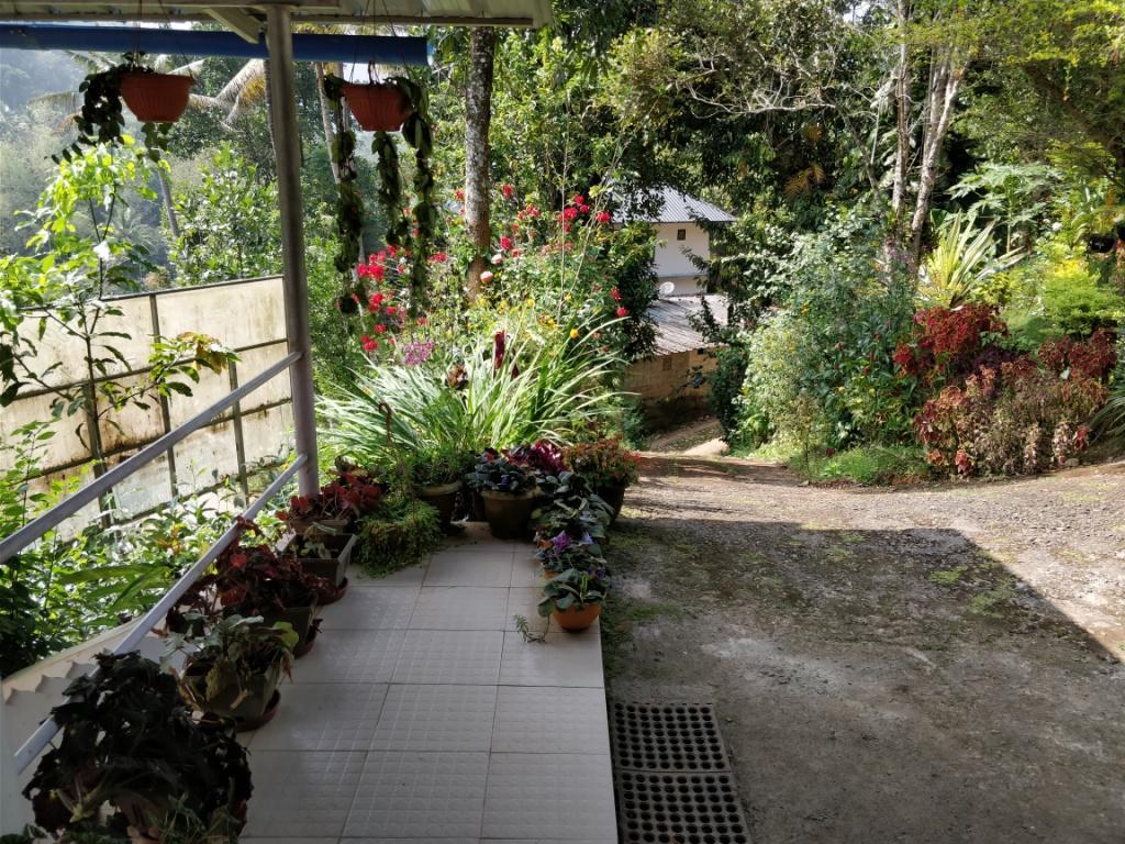 River View Inn Munnar Buitenkant foto